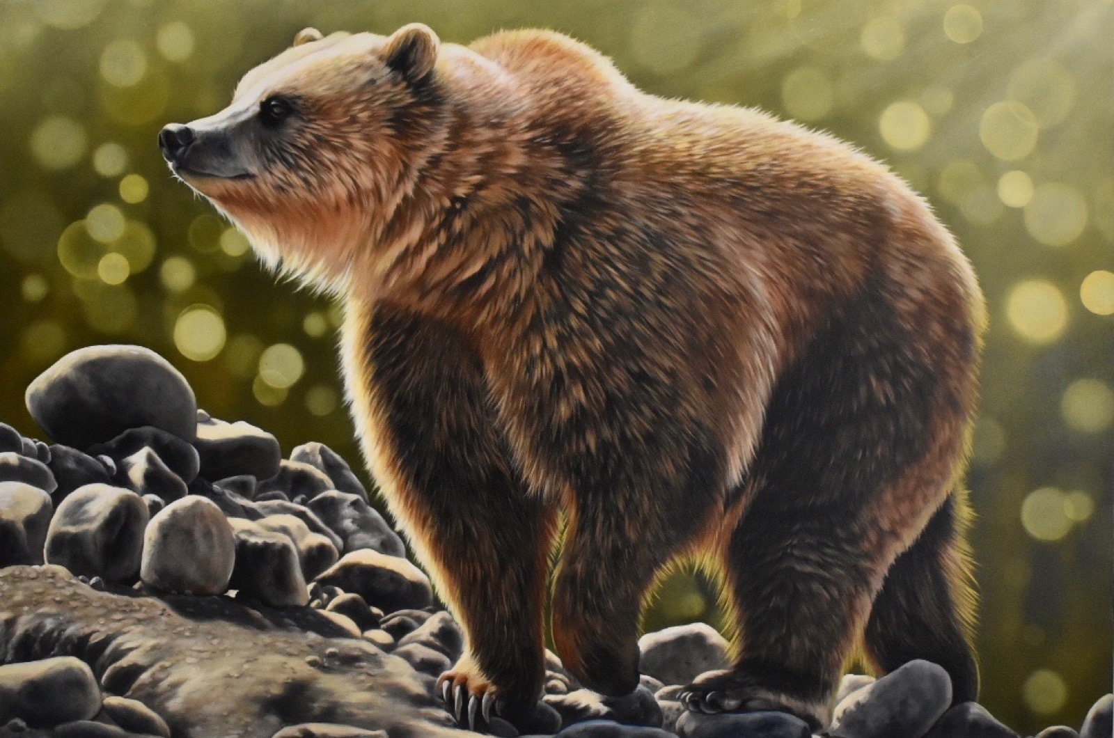 Wildlife